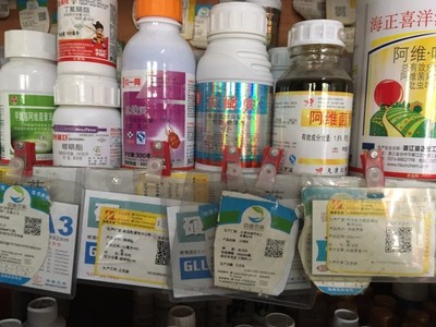 如何拿下10億元海南芒果農資大市場？聚焦農作物種子經營策略