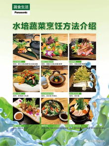 水培蔬菜面市，無農藥無污染贏得用戶贊譽