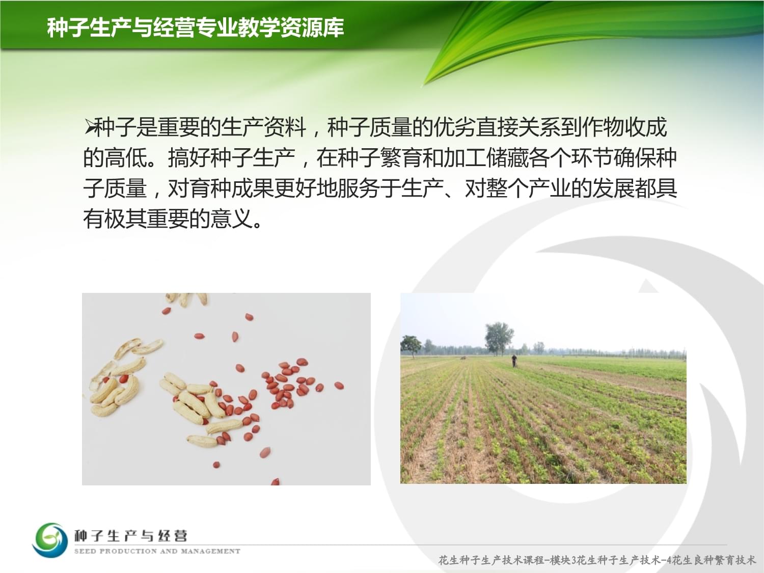 花生種子質量分級與計算機軟硬件零售的關聯與技術應用
