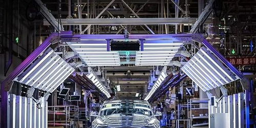 最“南”之年已過，這6款年度車型值得被銘記